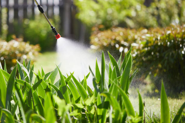 Tamper-Resistant Bait Stations for Rodents in Agua Fria