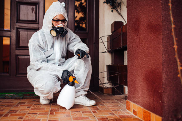 Attic and Crawl Space Rodent Treatment in Agua Fria